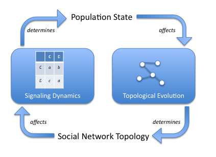adaptive-network-model.png